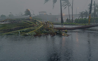 台風